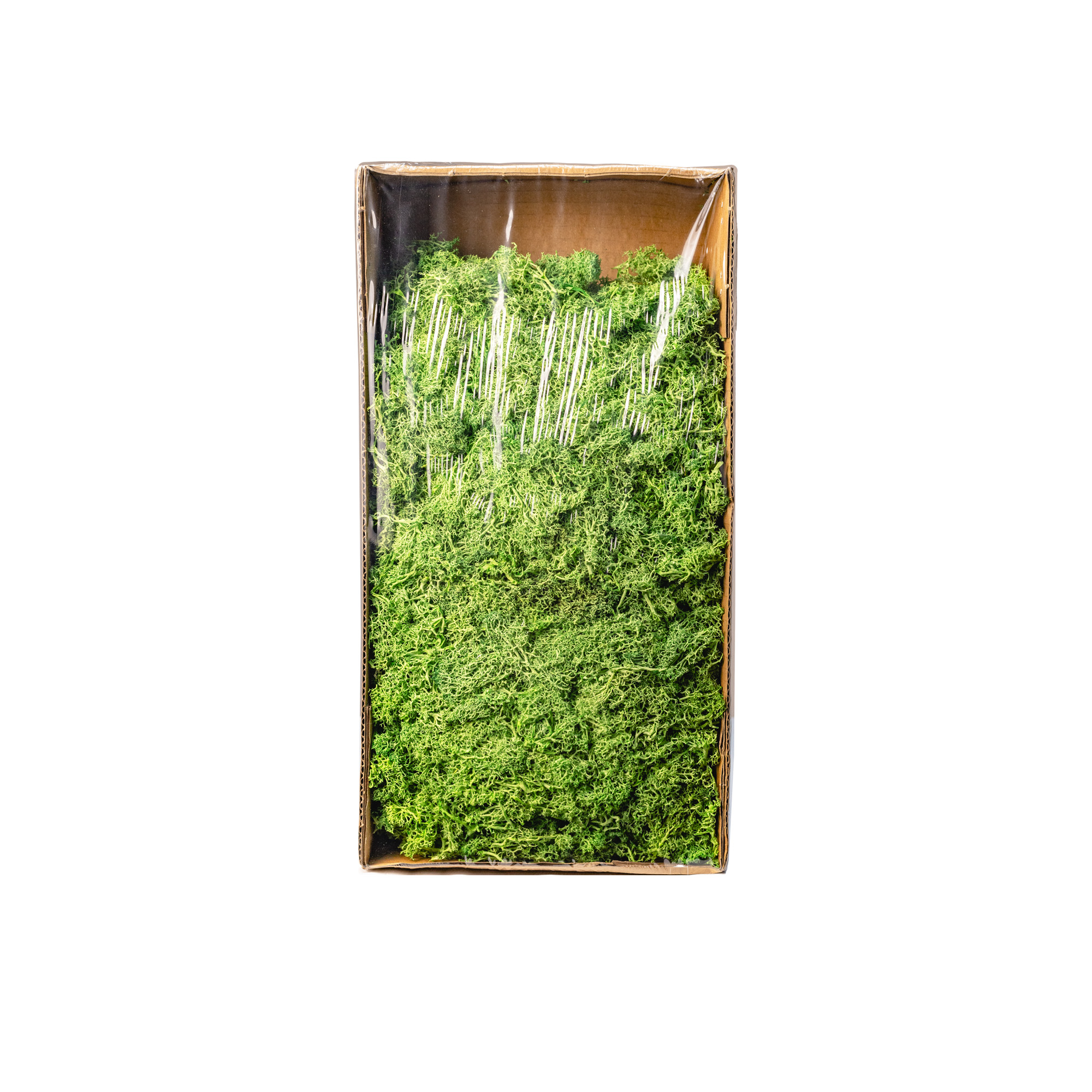 Preserved moss,500g, Green